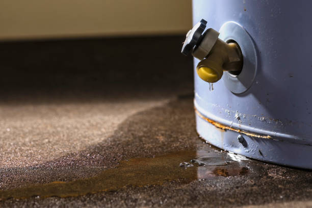 Best Mold removal after water damage  in Lake Shore, UT