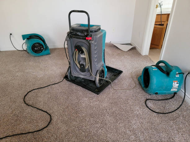 Best Emergency water damage restoration  in Lake Shore, UT