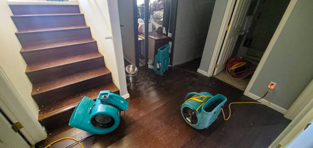 Best Commercial water damage restoration  in Lake Shore, UT