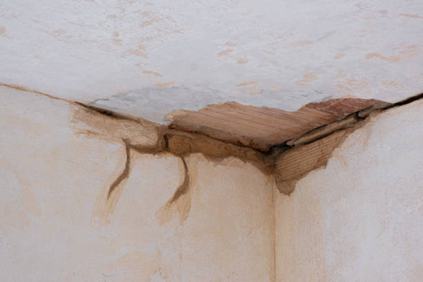 Best Local water damage restoration  in Lake Shore, UT