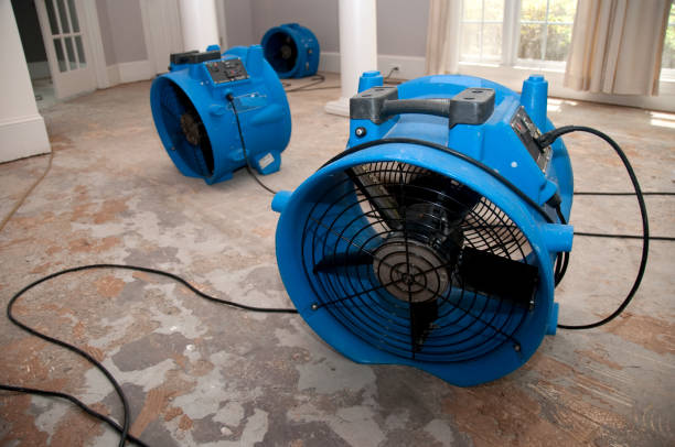 Best Water damage restoration mold remediation  in Lake Shore, UT