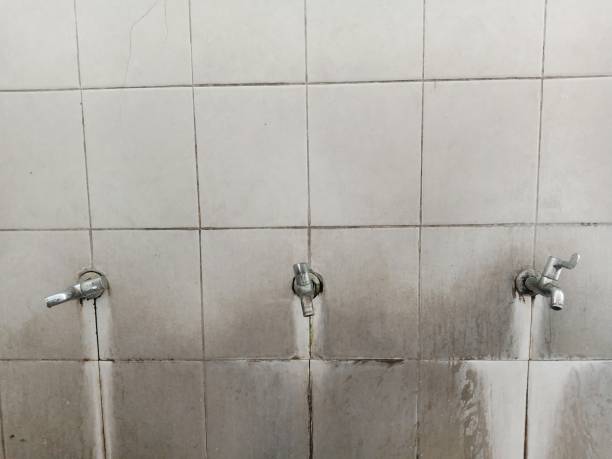 Best Water damage restoration services  in Lake Shore, UT